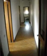 Appartamento in Affitto 110mq