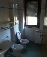 Nettuno: Appartamento Bilocale