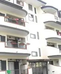 Appartamento a Acerra Appartamento a Acerra