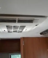 Caravelaire 426