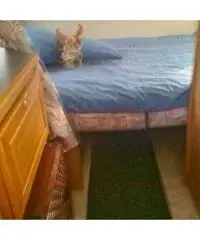 CAMPER BRIG 77