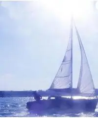 Barca a vela Barca a vela