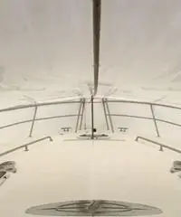 Bavaria Sport 37