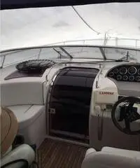 Bavaria Sport 37