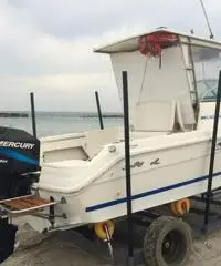 barca sea ray alalunga 21