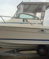 barca sea ray alalunga 21