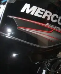 MERCURY F 40/60   2014