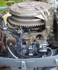 evinrude 25cv come pezzi di ricambio