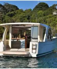 GreenLine 33 Ready - Nuova Barca Ibrida ( 2016)