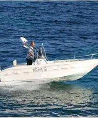 Mingolla Brava 16 Nuovo