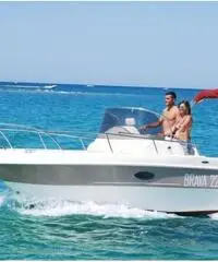 Mingolla Brava 22 Walkaround Mingolla Brava 22 Walkaround