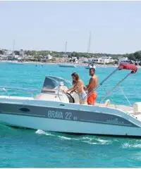 Mingolla Brava 22 Walkaround Mingolla Brava 22 Walkaround