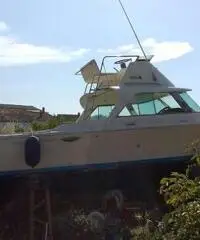 barca a motore RIVA bertram 25 anno 1972 lunghezza mt 8