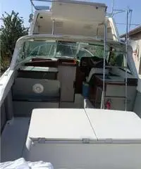 barca a motore RIVA bertram 25 anno 1972 lunghezza mt 8
