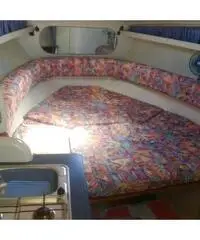 Gobbi 265 cabin