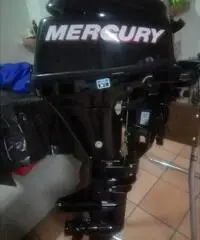 Motore mercury 9.9 4t 2011