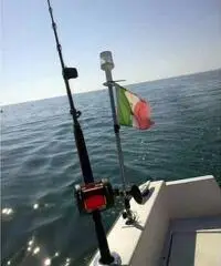 Barca Fiart Open 5,60 mt