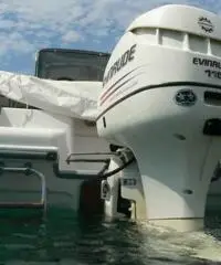 RANIERI SOVERATO 115  CV EVINRUDE RANIERI SOVERATO 115  CV EVINRUDE