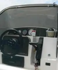 RANIERI SOVERATO 115  CV EVINRUDE RANIERI SOVERATO 115  CV EVINRUDE
