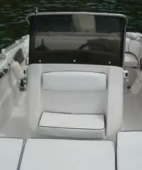 RANIERI SOVERATO 115  CV EVINRUDE RANIERI SOVERATO 115  CV EVINRUDE