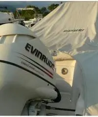 RANIERI SOVERATO 115  CV EVINRUDE RANIERI SOVERATO 115  CV EVINRUDE