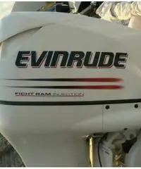 RANIERI SOVERATO 115  CV EVINRUDE RANIERI SOVERATO 115  CV EVINRUDE
