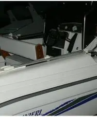 RANIERI SOVERATO 115  CV EVINRUDE RANIERI SOVERATO 115  CV EVINRUDE