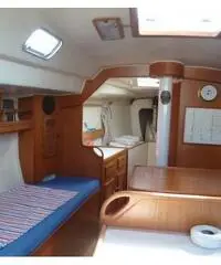 Moana 33 Moana 33