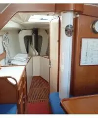 Moana 33 Moana 33