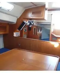 Moana 33 Moana 33