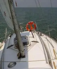 BARCA A VELA