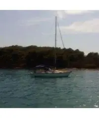 Mousse99 Plastivela vero affare