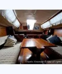 barca a vela Comet 910 plus – n. 353 / 81