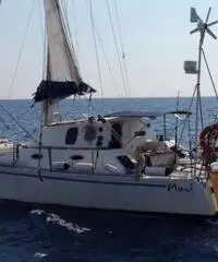 Catamarano 33