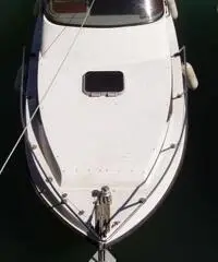 Barca a motore