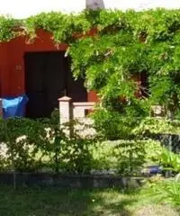 Appartamento di 2 locali in Vendita