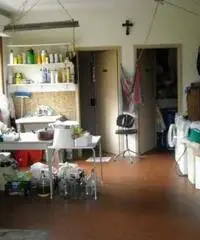 Villa a Monsummano Terme Villa a Monsummano Terme