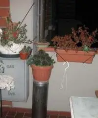 Appartamento a Prato Appartamento a Prato