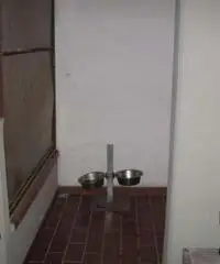 Appartamento a Prato Appartamento a Prato