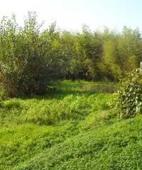 Villa Altro in Vendita