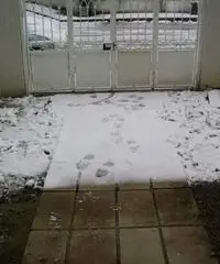 Affitto Casa indipendente a Agliana Affitto Casa indipendente a Agliana