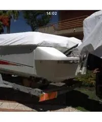 Tullio Abbate Sea Star