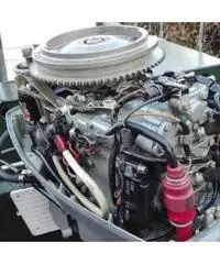 Barca tipo Shark 460 / Carolina Skiff 16