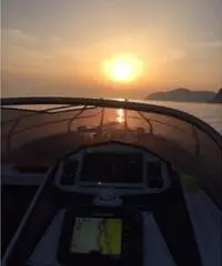 Vendo splendida Ranieri International