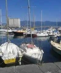 Barca a vela 6 metri