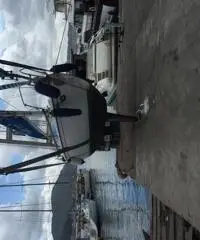 Barca a vela Comet 850 con vele nuove