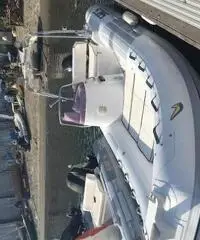 Gommone sacs motore Evinrude 40/60 e tec 2008