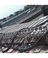 NASTRO TRASPORTATORE per frutti di mare