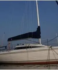 Barca a vela Cobra 24 Promozione 2016