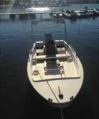 Barca a motore